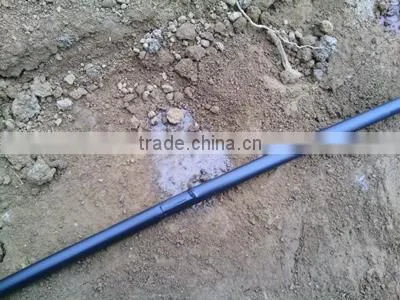 Drip Agriculture Irrigation pe Tape photo-4