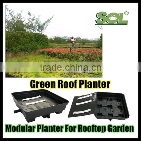 SOL 2015 FACTORY PRICE Modular Green Roof Green Roof Rooftop Garden photo-6