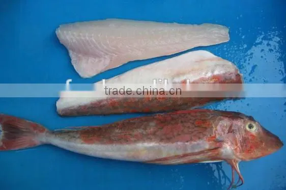 Red Gurnard With Frozen