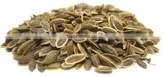 Dill Seed Oil photo-4