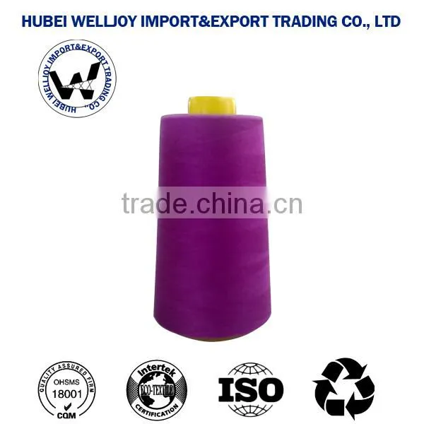 Dyeing 100% Pes Sewing Thread for Jacket photo-3