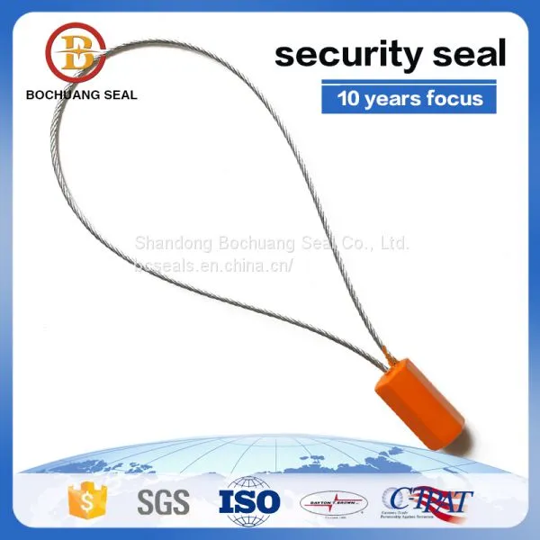 Tamper Proof Disposable High Security Cable Seal C101 photo-3