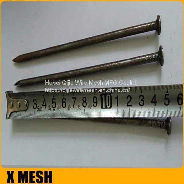40D 5inches Length Galvanized Common Wire Nails photo-3