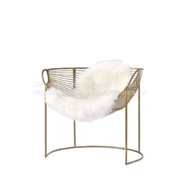 Concise Luxury Leisure Chair LC-2805 Solid Metal Chair