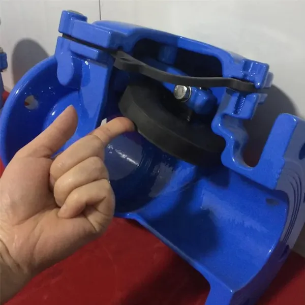 DN40-DN350 PN16 Cast Ductile Iron GGG50 Lift Ball Check Valve Flange Soft Seal Non Return Check Valve Price photo-5
