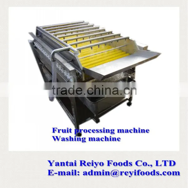 Fruits and Vegetables Processing Machine photo-5