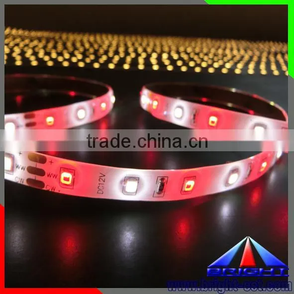 Double Color LED Strip 2835 Waterproof IP65 photo-5