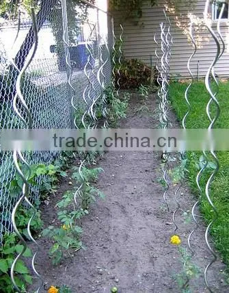 High Quality Spiral Plant Stake photo-2