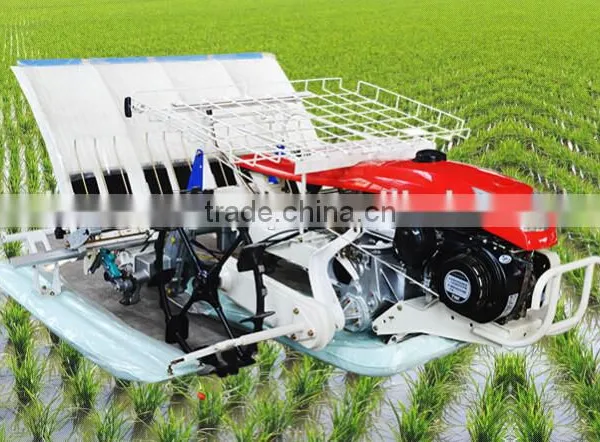 Farming Equipment Rice Planting, Rice Plant in India