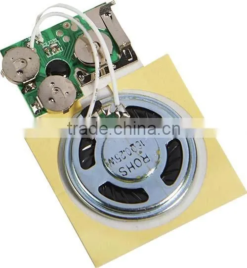 Flash Light Music Module Sound, Clothes Inside, Bags. photo-2
