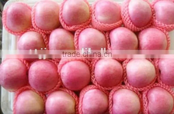 Red Color and Fresh Style Fuji Apple photo-4