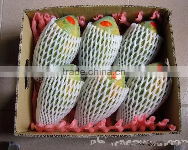 Good Quality Epe Foam Net Machine for Package photo-5