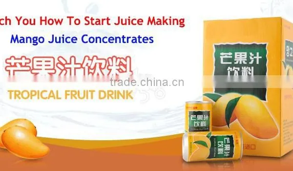 50 Times Concentrated Mango Juice Concentrates for Mango Concentrated Flavor Juice