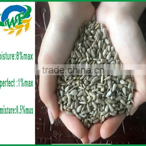 New Crop Chinese Sunflower Seed Kernel for Export photo-3