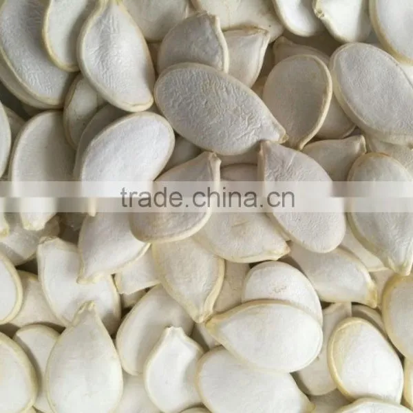 2015 Best Cheaper Snow White Pumpkin Seed for Sale photo-4