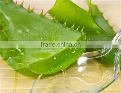 100% Pure Aloe Vera Gel photo-4