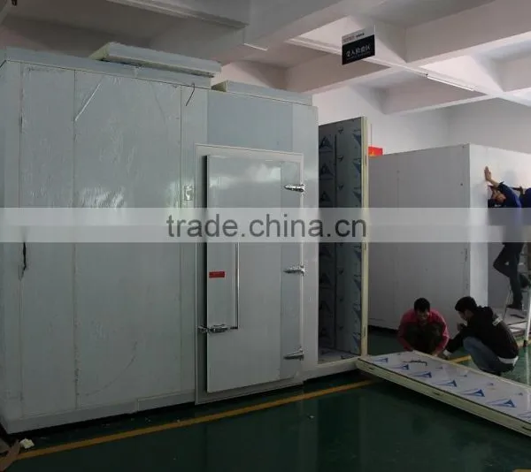 Programmable Testing Equipment Walk-in Climatic Chamber photo-5