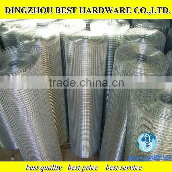 Low Price 2*2inch Galvanized Welded Wire Mesh Factory photo-2