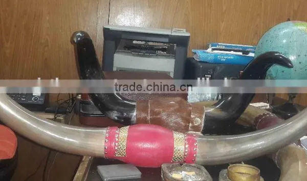 Natural Horn With Stands photo-2