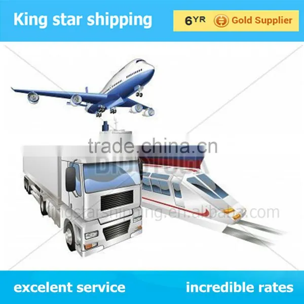 Sea Freight Shipping Agent to Livorno From China Qingdao Shenzhen Guangzhou/shanghai/ningbo for Lcl/fcl Etc photo-3