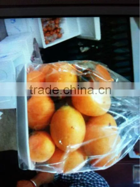 Fresh Mango Plum