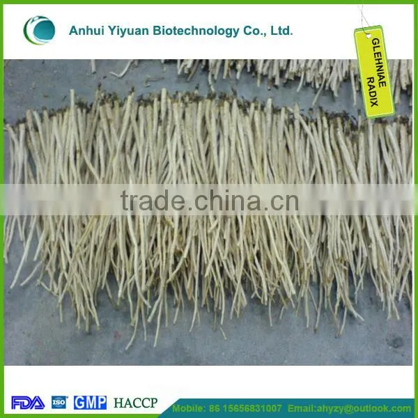 Light Yellow Radix Glehniae and Coastal Glehnia Root Cut photo-4