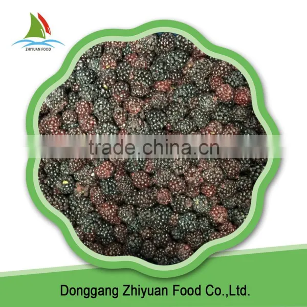 High Quality Organic Black Berries photo-5