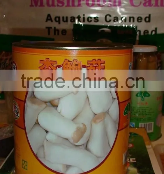 Canned Pleurotus Eryngii photo-3