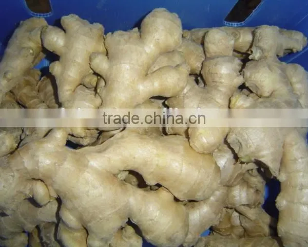 Fresh Air Dried Ginger photo-3
