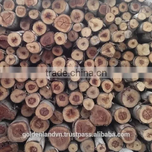 LYCHEE FIRE WOOD