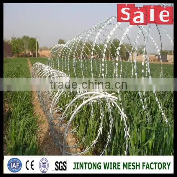 Razor Wire Prison Fence /razor Wire Prices Fencing photo-3