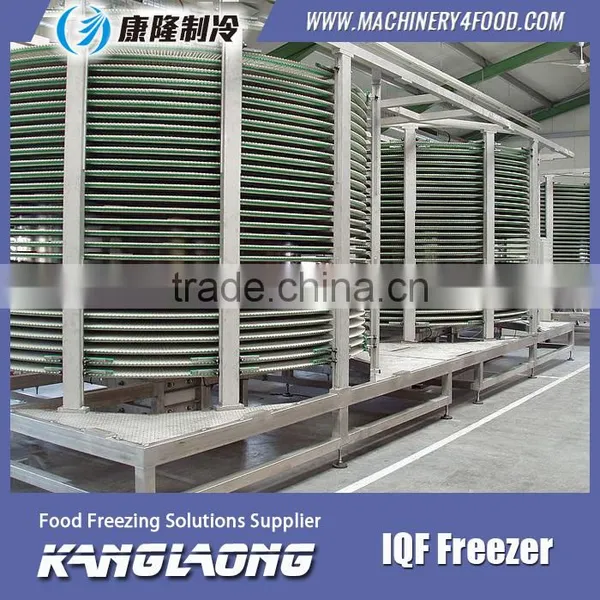 2015 New Design High Quality Spiral Frozen Food Plants photo-4