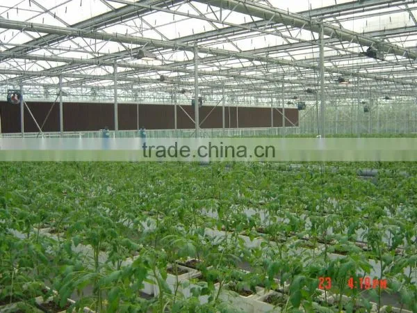 Vegetable Greenhouse photo-3