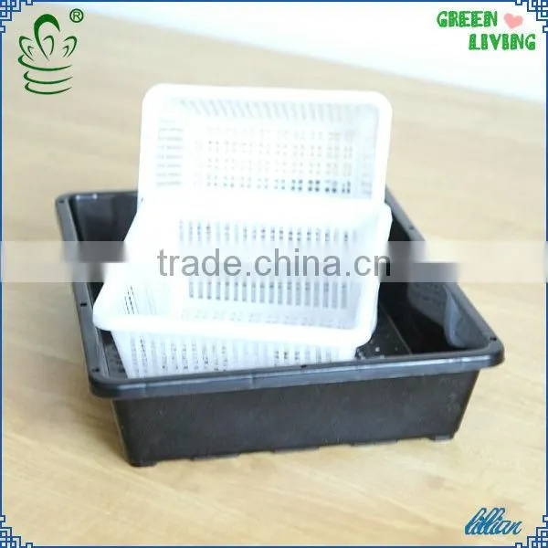PP HOT SALE Plastic Growing Tray photo-6