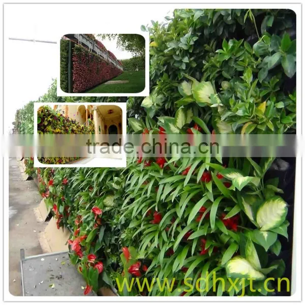 Vertical Suspension Planting Bag