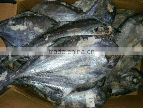 Frozen Seafood BLACK POMFRET OR BRAMA FILLET Frozen Fish photo-3