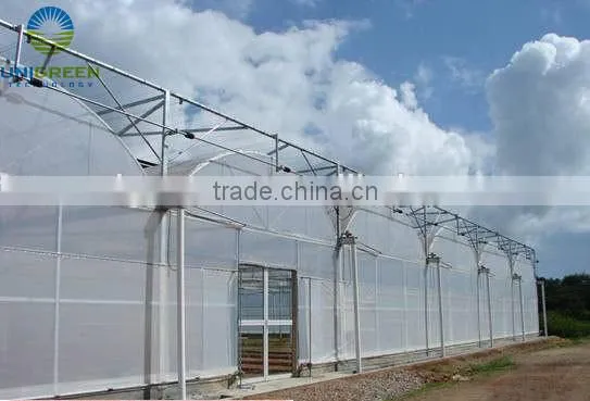Large Size Agricultural Plastic Film Greenhouse for Planting Vegetable photo-2