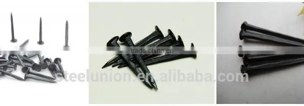Fine Blue Shoe Tack Nails/three Star Brand Shoe Tack Naisl / Shoe Tack photo-3