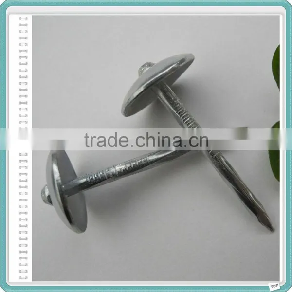 Twist Shank Galvanized Roofing Nails With Plastic Washer/Umbrella Head Nail photo-5