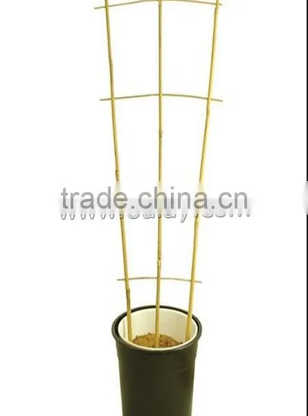Thick Walled Cheap Tonkin Bamboo Poles Wholesale for Plants photo-5