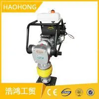 Sales Service Provided Tamping Rammer Compactor