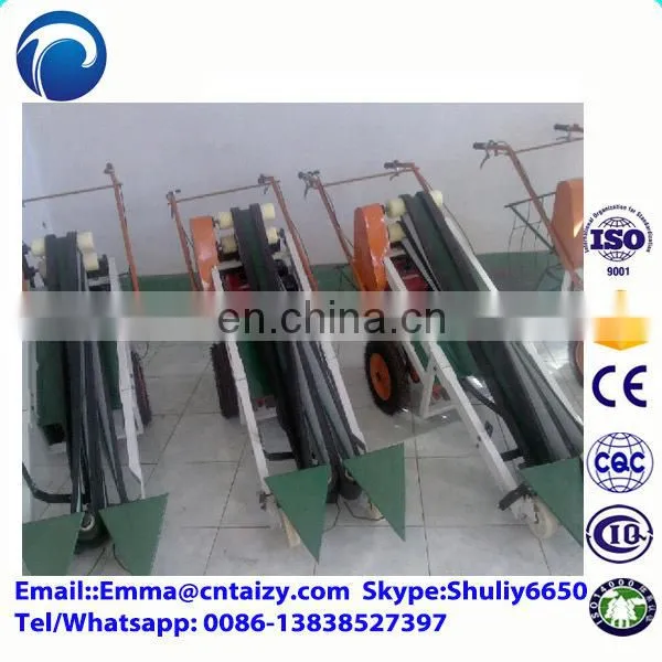Celery Cutting Machine Chives Harvesting Machine Celery Cutter Machine photo-4
