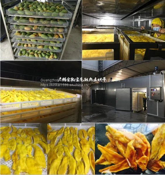 Mango Drying Equipment, Drying Equipment and Machinery
