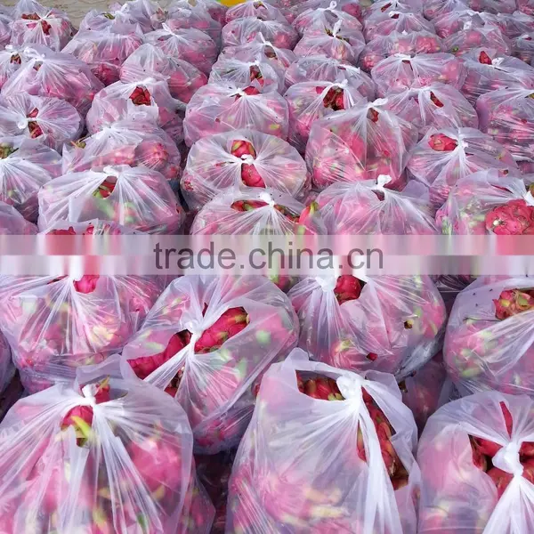 High Quality Fresh Dragon Fruit / Pitaya From Vietnam photo-2