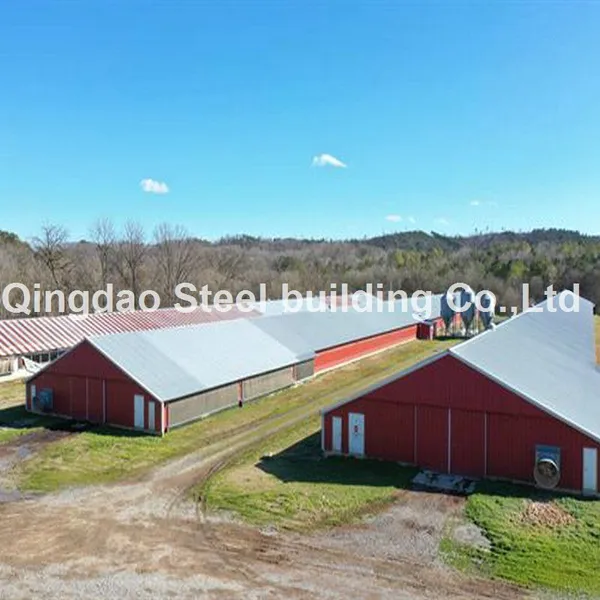 Prefabricated Light Steel Frame Chicken House/ Chicken Farm Shed Steel Structure Light Steel Structure Poultry Farm House