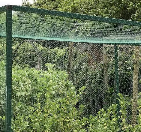 Agriculture Garden Protection Net Mesh High Strength HDPE Warp Knitted Green Bird Netting photo-5