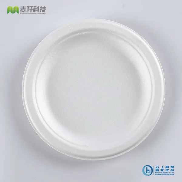 Disposable Biodegradable 6 INCH PLATE Take Away Sugarcane Outdoor Dining and Painting photo-3
