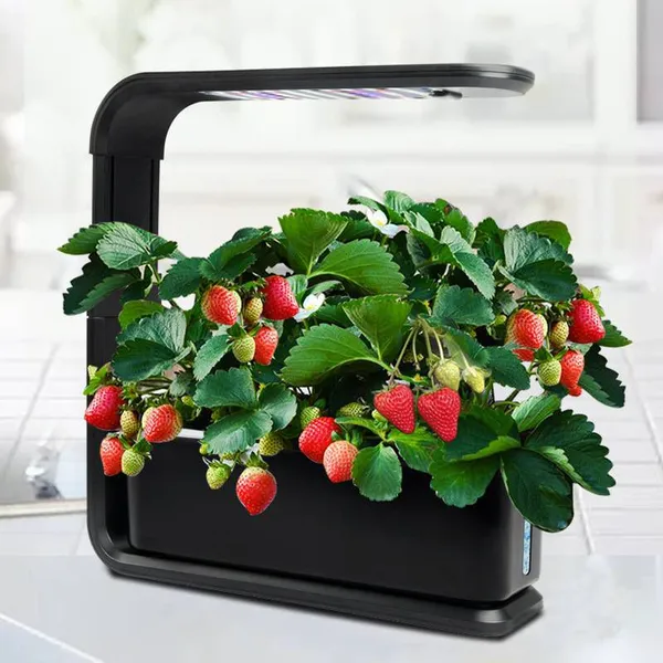 Amazon Hydroponic Gardening Smart Planter and Vegetable Planter for Indoor Soilless Cultivation photo-2