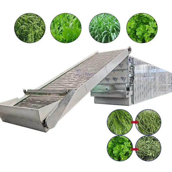 Industrial Automatic Mesh Belt Oat Grass Animal Feed Drying Machine