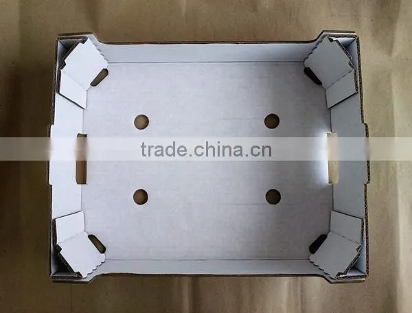 Best Quality Corrugated Mango Packing Box photo-2